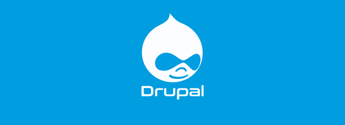 Drupal website security