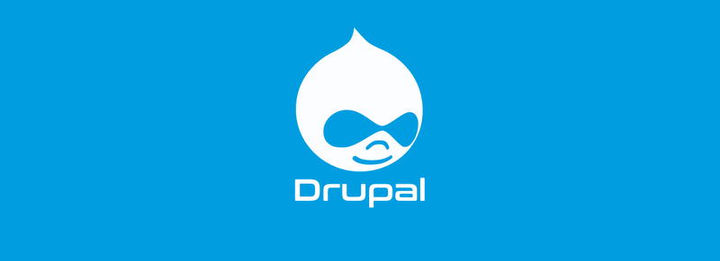Drupal website security