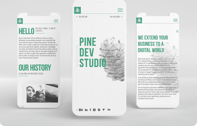 Pine Dev Studio
