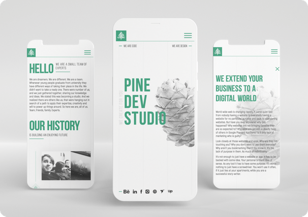 Pine Dev Studio