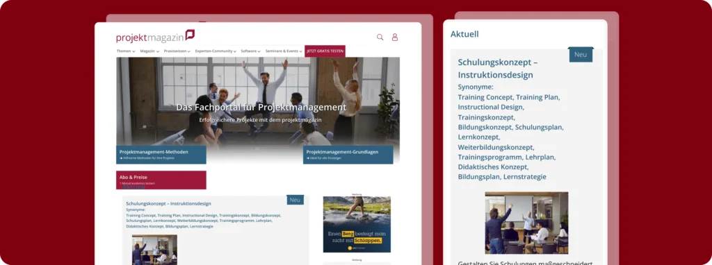 projektmagazin-case-3